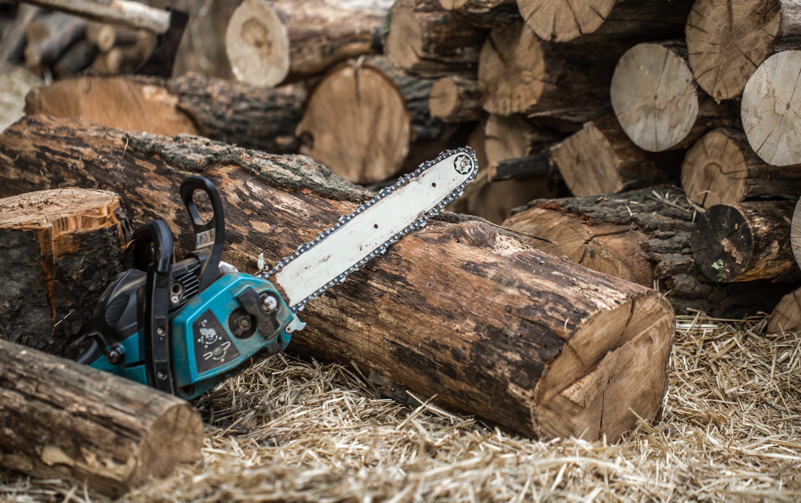 Man chopping wood with a chainsaw ,close-up